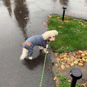 Meet your Posher, Tommy